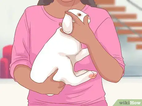 Image titled Raise a Lop Eared Rabbit As a Pet Step 17