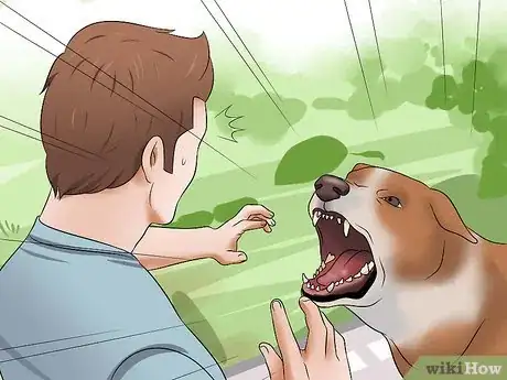 Image titled Stop Dogs from Biting Step 11