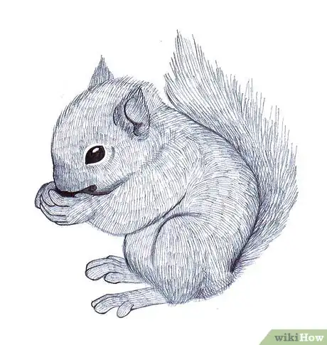 Image titled Draw a Squirrel Step 9