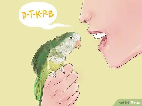 Image titled Teach Parakeets to Talk Step 4