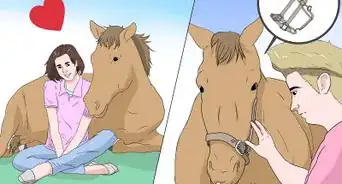 Train a Horse to Lead