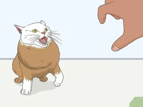 Image titled Gain a Cat's Trust Step 13