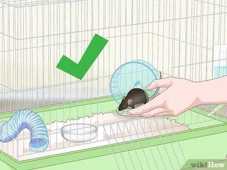Image titled Clean a Mouse Cage Step 12