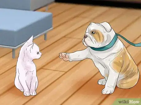 Image titled Make Your Dog Like Your Cat Step 14