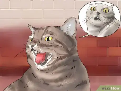 Image titled Get Your Cat to Stop Hissing Step 1