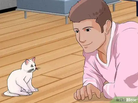 Image titled Pet a Kitten Step 1