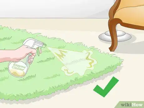 Image titled Find Cat Urine With a UV Light Step 10