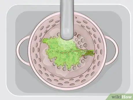 Image titled Use Dill Step 1