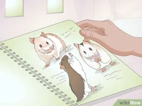 Image titled Prepare for a Pet Hamster for the First Time Step 13