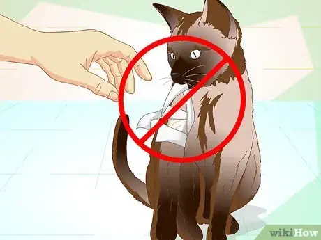 Image titled Help a Cat with a Broken Shoulder Step 11