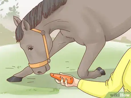 Image titled Teach a Horse to Bow Step 13