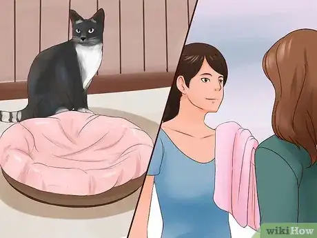 Image titled Introduce a New Cat to the Family Step 1