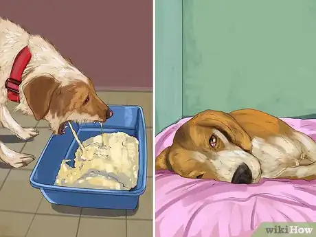Image titled Treat Aspirin Poisoning in Dogs Step 1