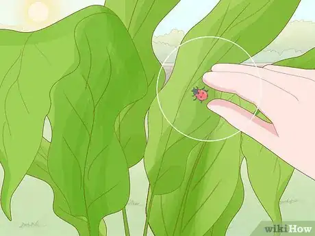 Image titled Protect Plants Step 11