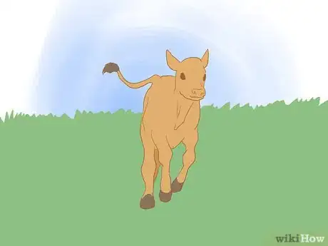 Image titled Wean Cattle Step 15