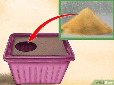 Image titled Retrain a Cat to Use the Litter Box Step 9