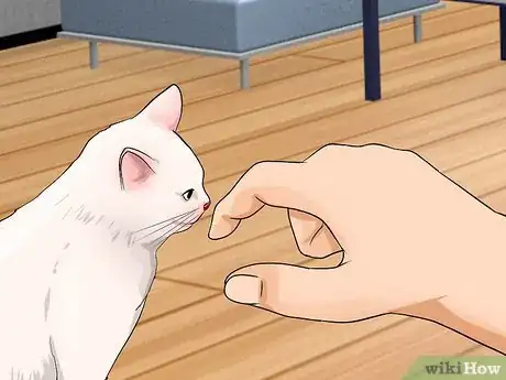 Image titled Pet a Kitten Step 2