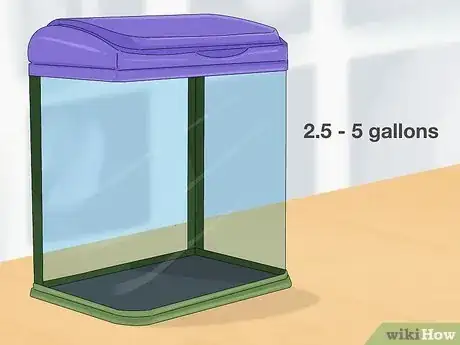 Image titled Take Care of a Siamese Fighting Fish Step 1