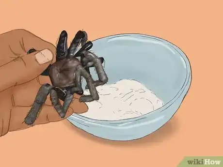 Image titled Cook Tarantula Spiders Step 15
