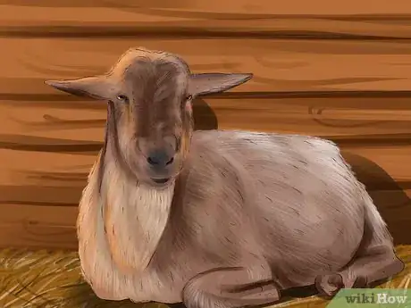 Image titled Breed Goats Step 26