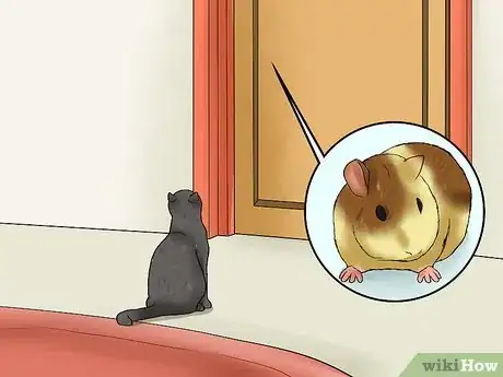 Image titled Keep Guinea Pigs when You Have Cats Step 2