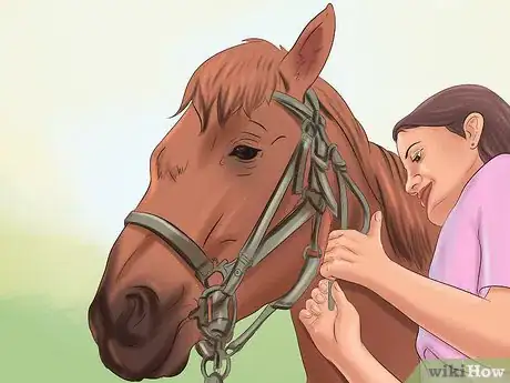Image titled Get Your Horse to Trust and Respect You Step 16