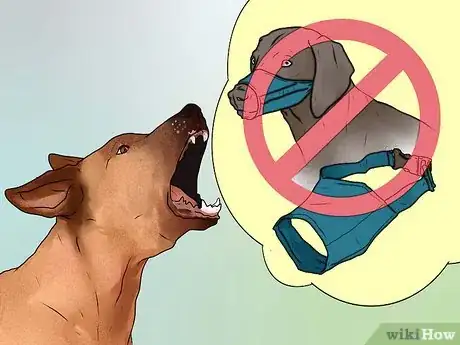 Image titled Stop Your Dog from Barking at Strangers Step 3