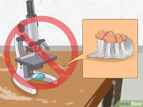 Image titled Clean a Microscope Step 12