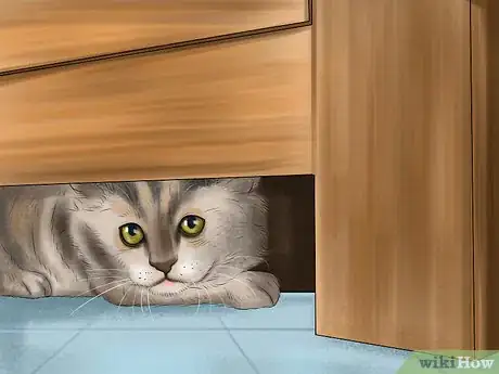 Image titled Know if a Kitten Is Stressed Step 5