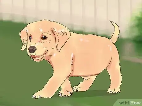 Image titled Give Puppy Shots Step 8