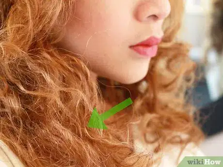 Image titled Style Naturally Curly Hair Step 1