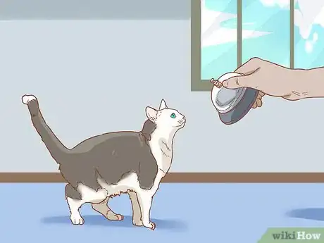 Image titled Teach Your Cat to Sit Step 3