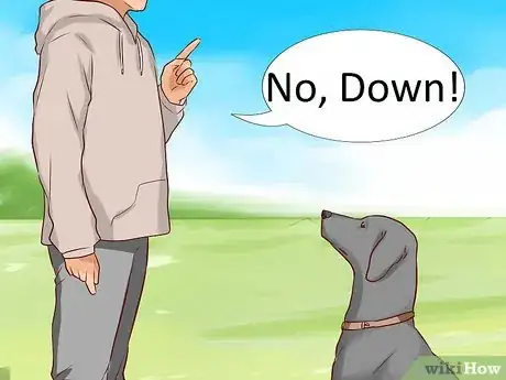 Image titled Tell Your Dog No Step 12