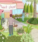 Start a Plant Nursery Business