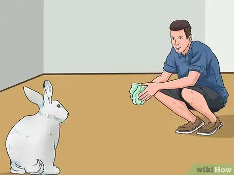 Image titled Teach Your Rabbit to Come when Called Step 7