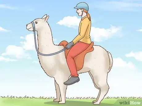 Image titled Ride a Llama Step 3