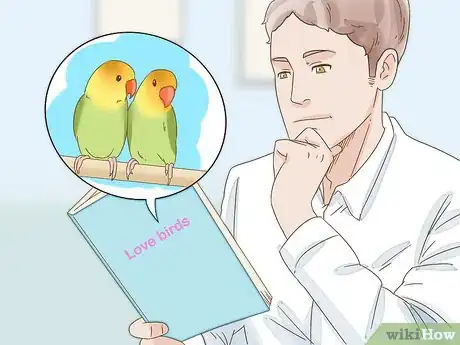 Image titled Breed Lovebirds Step 1