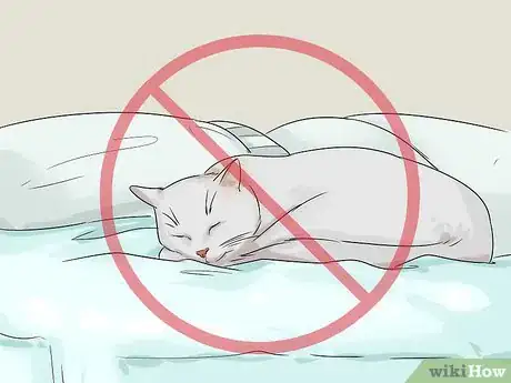 Image titled Change Your Cat's Routine Step 13