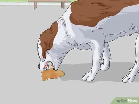 Image titled Nurse a Dog Through Parvo Step 16
