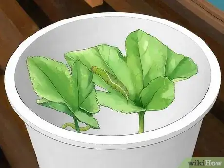 Image titled Make a Caterpillar Habitat Step 7
