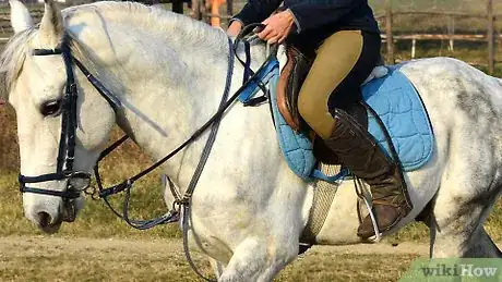 Image titled Steer a Horse With Only Your Legs Step 4