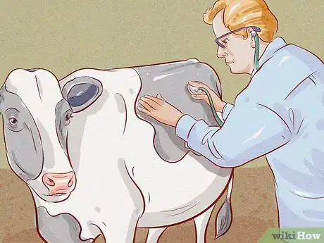 Image titled Treat and Prevent Bloat in Cattle Step 7