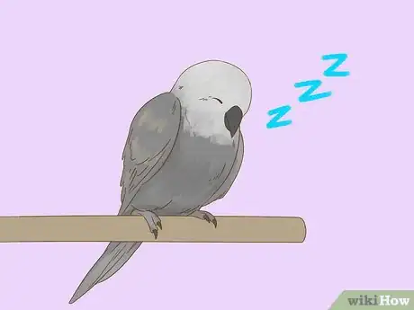 Image titled Know if Your Bird Is Sick Step 13
