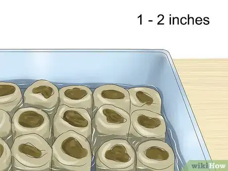 Image titled Germinate Seeds in Hydroponics Step 5