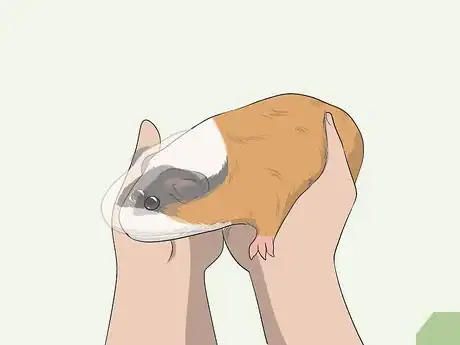 Image titled Hold a Guinea Pig Step 13