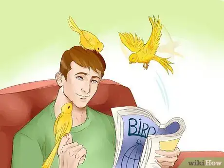 Image titled Keep a Canary Entertained Step 8