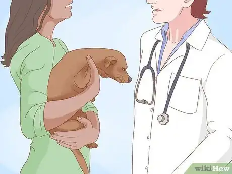 Image titled Tell How Big a Mixed Puppy Will Get Step 11