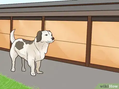Image titled Stop Your Dog from Barking at Strangers Step 5