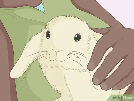 Image titled Care for Dwarf Rabbits Step 13