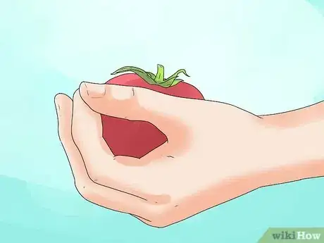 Image titled Can Tomatoes Step 1
